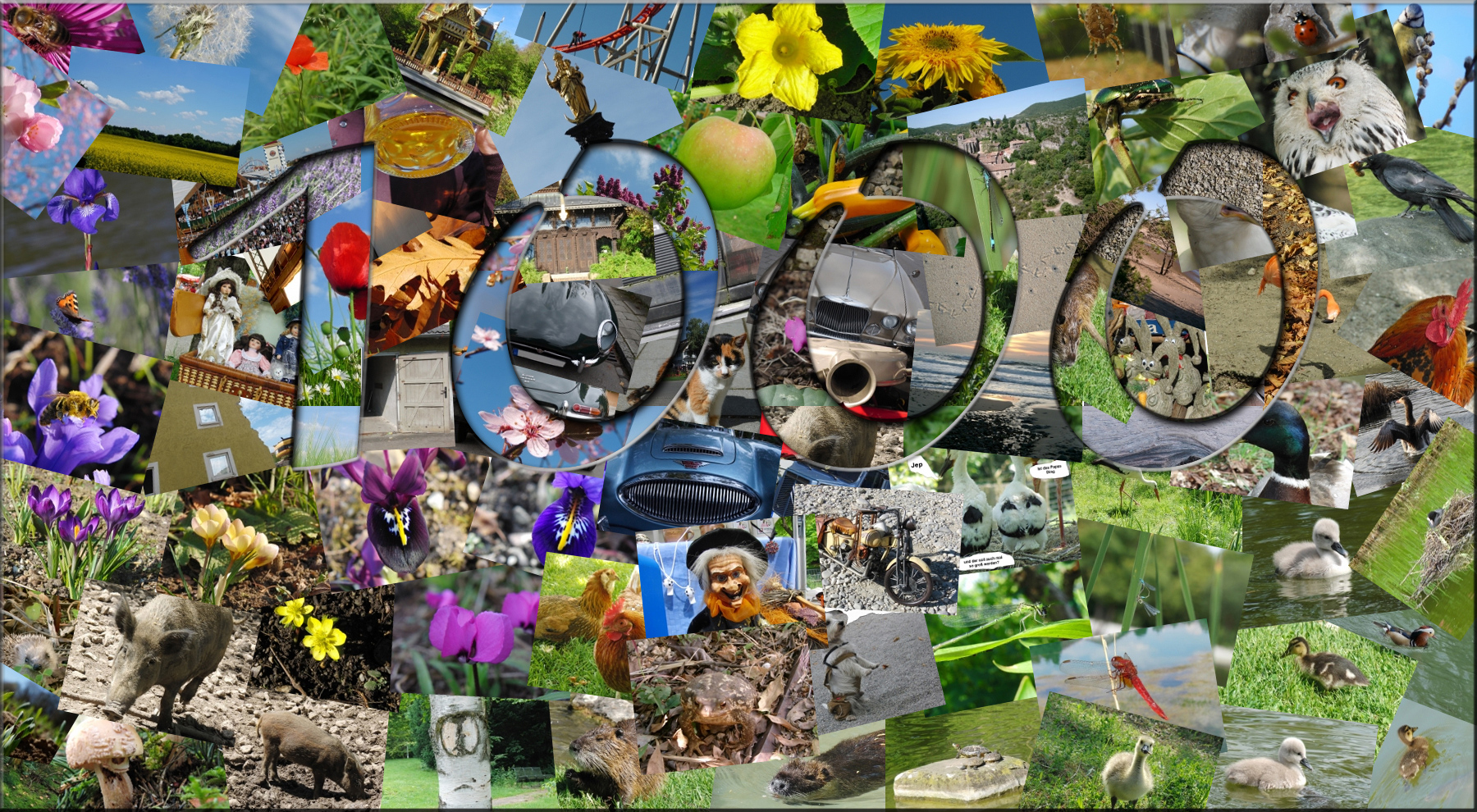 100-Bilder-Nikipics