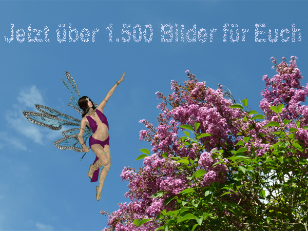 1500 kostenlose Bilder
