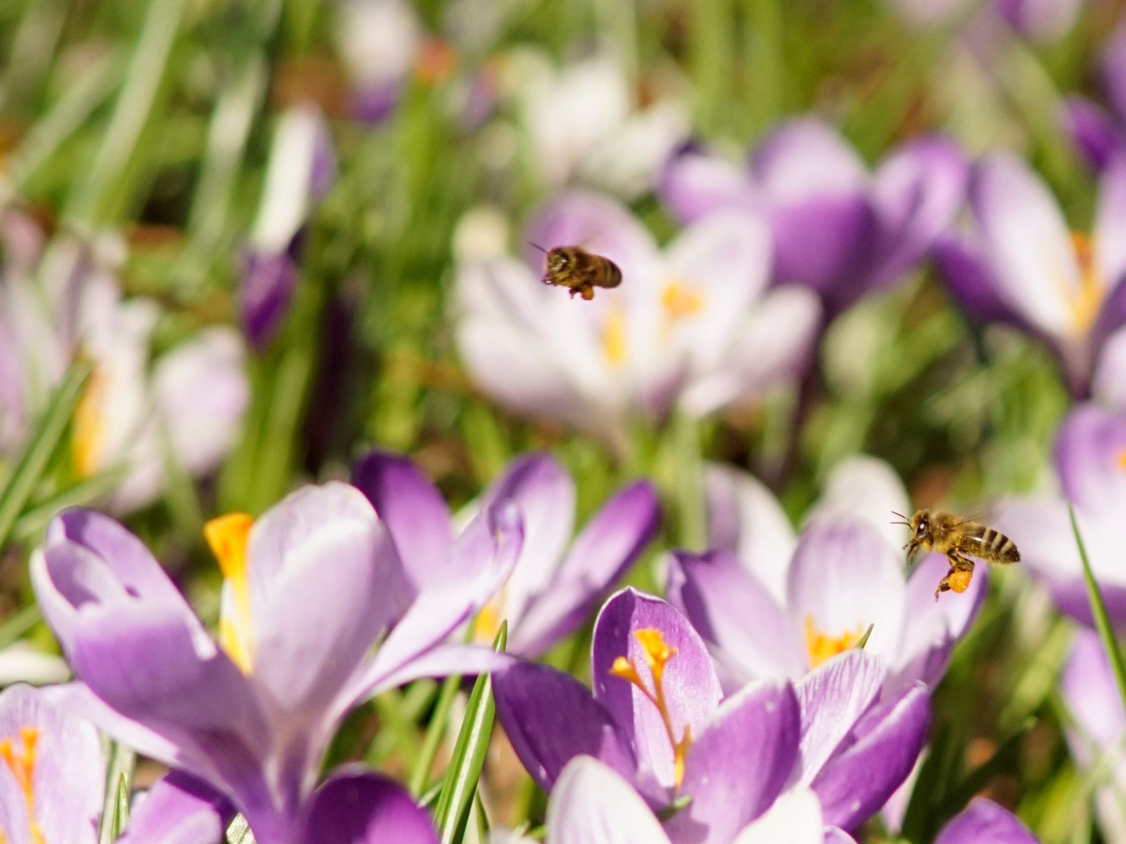 Die Fleißigen sind wieder unterwegs