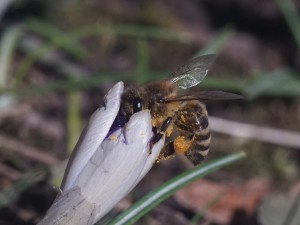 Gibt es da auch schon was