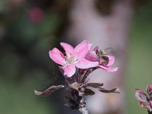 Ist da noch was übrig