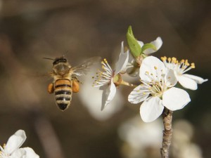Nachhause mit den vollen Hosen