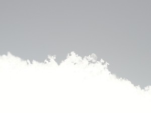 Schneerand macro