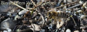 Auf dem Weg zur Arbeit FB Banner