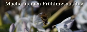 Biene Frühlingsausflug FB Banner