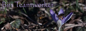 Teamworker Biene FB Banner