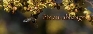 Bin am abhängen Biene FB Banner