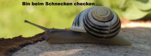 Bin beim Schnecken checken FB Banner