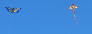 Zwei Drachen FB-Banner Zwei Drachen FB-Banner