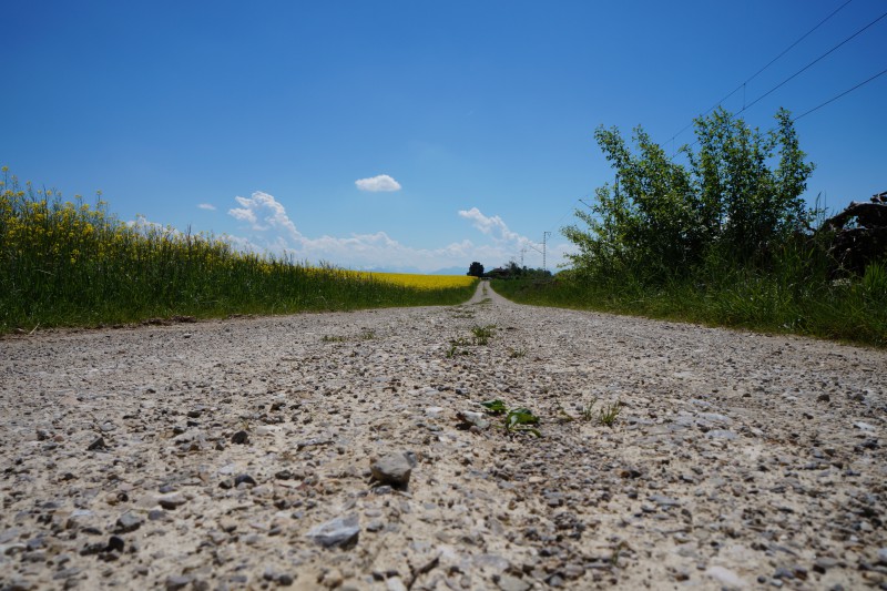  Feldweg zwischen Rapsfeld und Bahnstrecke 2