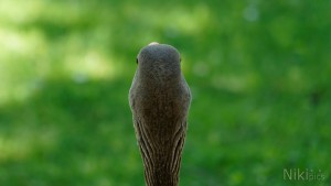 Blick nach vorn Blick nach vorn