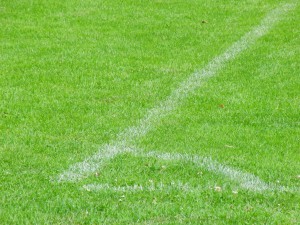 Fussballrasen Textur