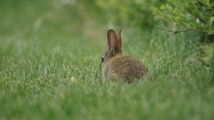 Ostern im Blickfeld Ostern im Blickfeld