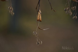 Bereit für den Weg zum nächsten Frühling Bereit für den Weg zum nächsten Frühling
