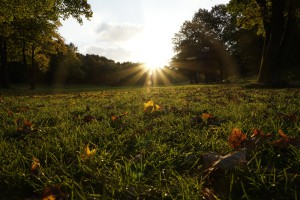 Oktobersonne im Park Oktobersonne im Park