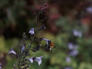 Ist da noch was drin 