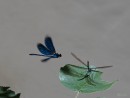 Im Anflug