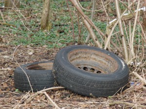  Altreifen im Gebüsch
