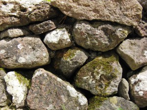 Trockenmauer mit Naturstein Trockenmauer mit Naturstein