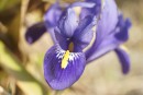 Jetzt rockt der Vorfr&uuml;hling