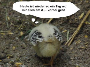 Am A.... vorbei Am A.... vorbei