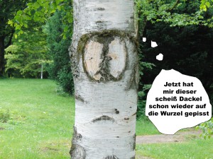 Birkenstamm-Problem Birkenstamm-Problem