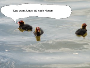Das wars Jungs Das wars Jungs