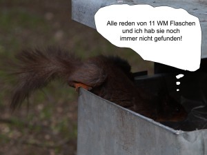 Flaschensammler-Eichhörnchen Flaschensammler-Eichhörnchen