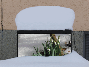 Frühlingsanfang im TV (GIF) Frühlingsanfang im TV (GIF)