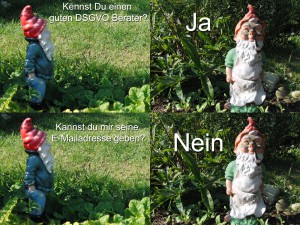 DGSVO-Berater-Comic DGSVO-Berater-Comic