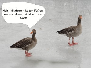 Kalte Füße Comic Kalte Füße Comic
