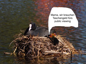 Taschengeld-für-public-viewing Taschengeld-für-public-viewing