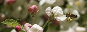 Flei&szlig;ig gesammelt FB Banner
