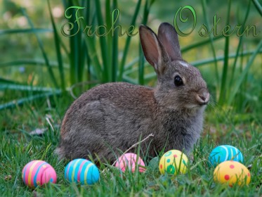 Grußkarten Ostern