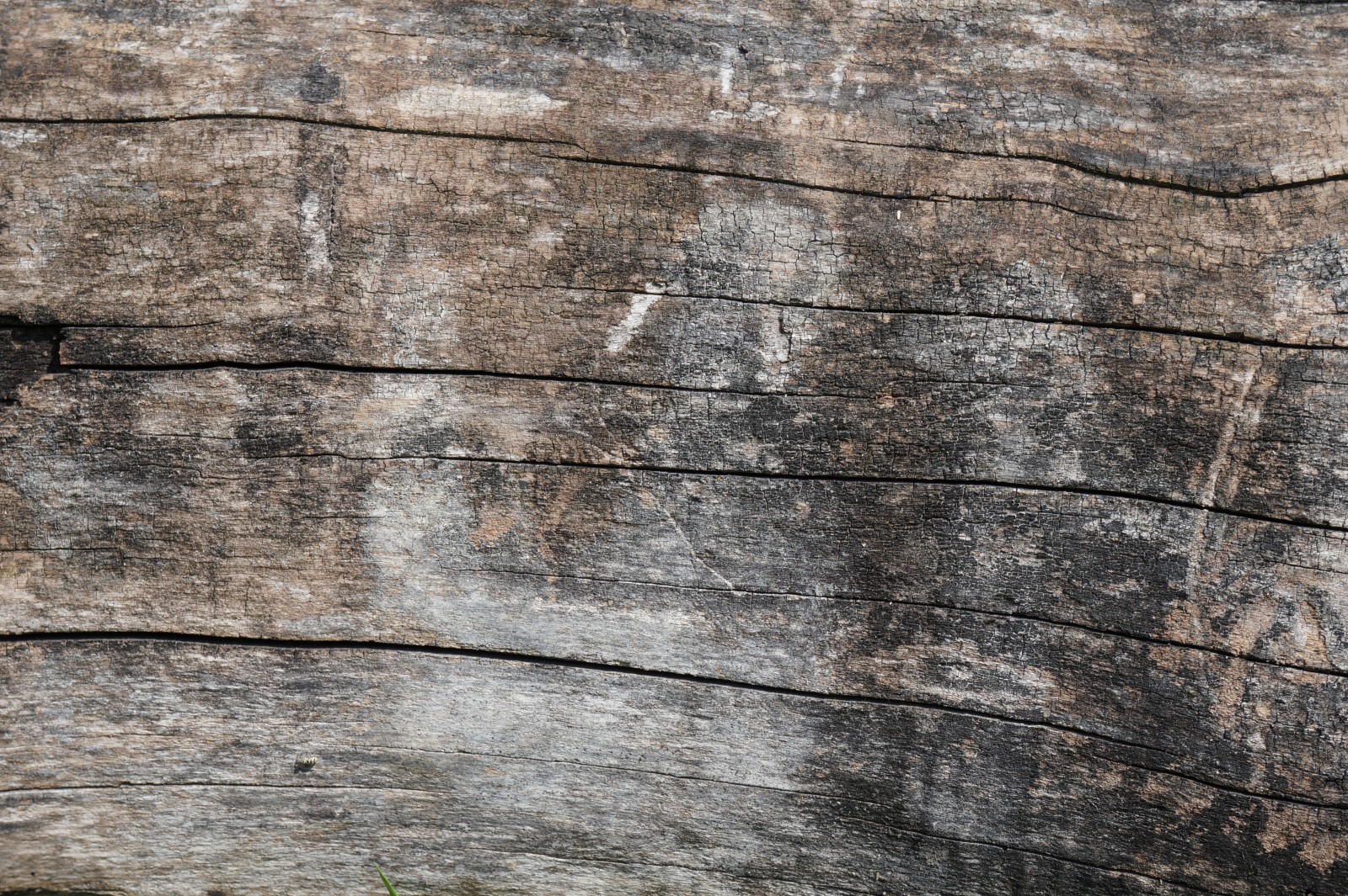 Altes morsches Holz 3 Altes morsches Holz 3