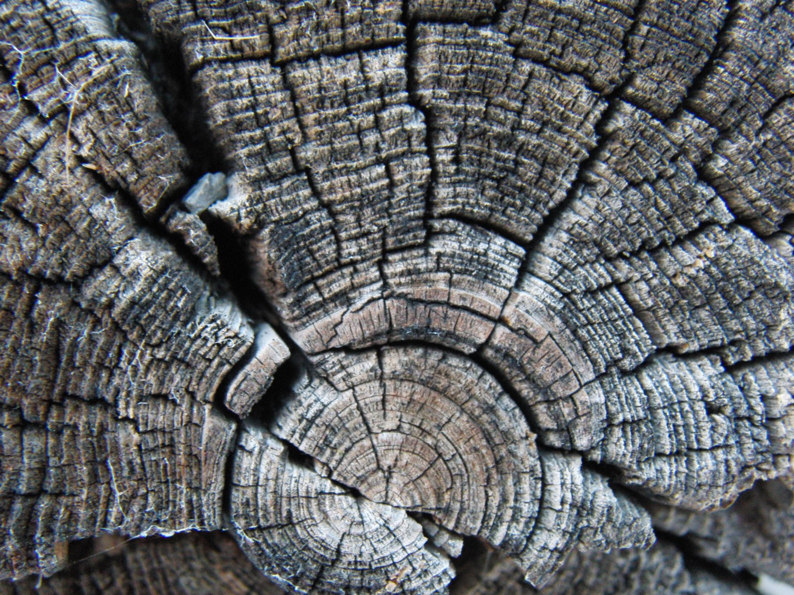 Holz alt grau Holz alt grau