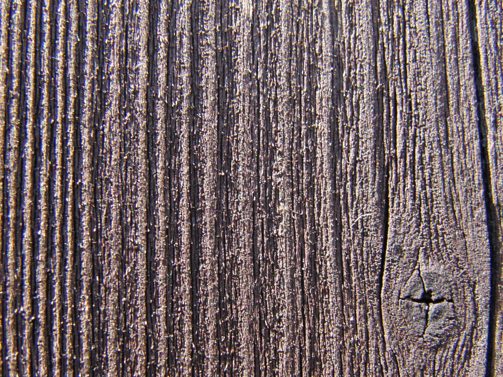 Altes Holzbrett mit Schraube Altes Holzbrett mit Schraube