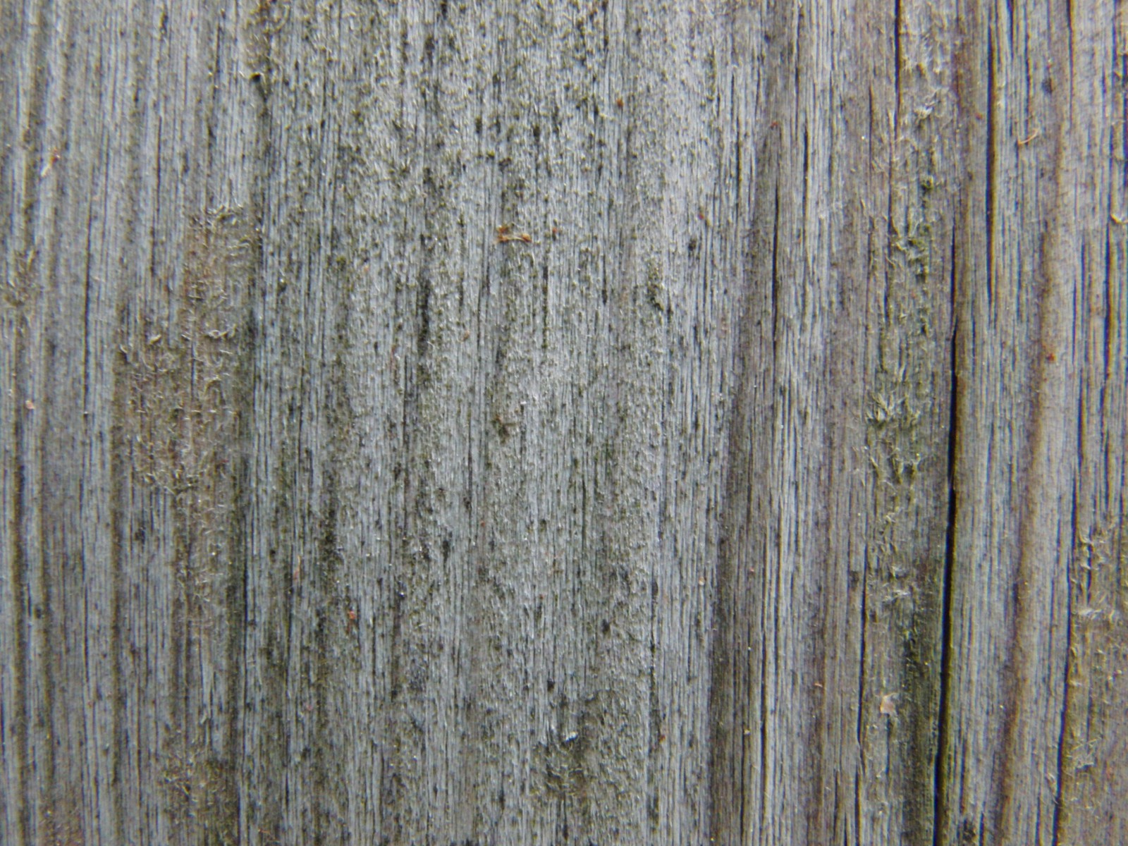 Holzbrett grau braun Holzbrett grau braun