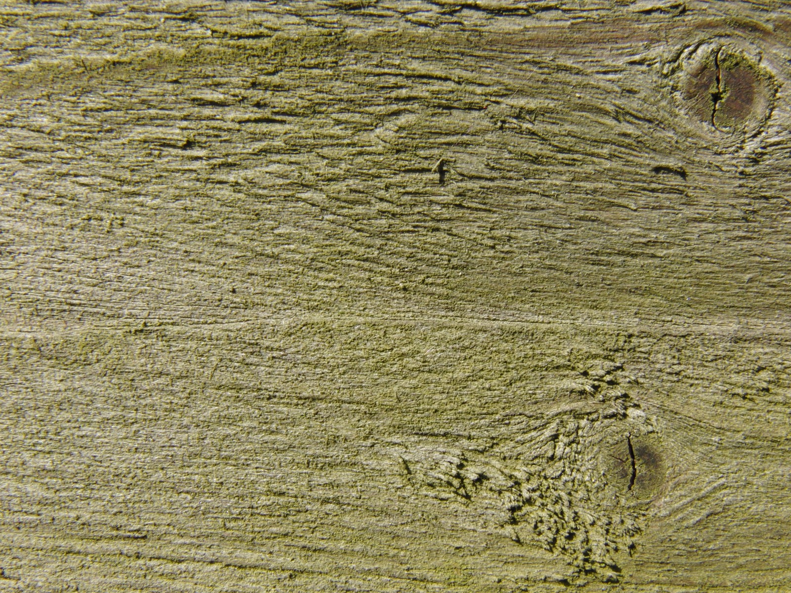 Holzbrett mit Astloch und leichten Moosansatz Holzbrett mit Astloch und leichten Moosansatz