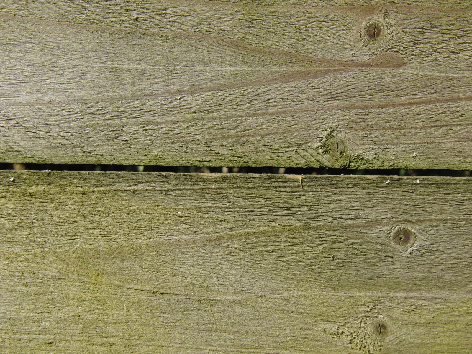 Holzbretter mit leichten Moosansatzt Holzbretter mit leichten Moosansatzt