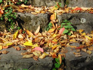 Herbstlaub auf Steintreppen