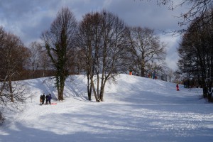 Winterfreude im Westpark Winterfreude im Westpark