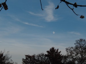 Mond am Novemberabend