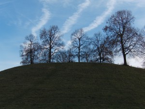  Parkhügel vor blauen Novemberhimmel