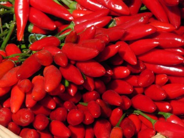 Weitere Gemüse-Bilder