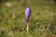 Startklar für den Frühling