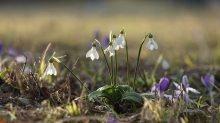 Leuten am Frühlingsabend