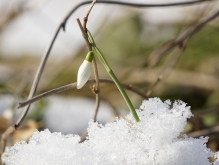 Raus an die Frühlingssonne