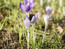 Rein in den Frühling