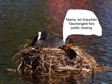 Taschengeld-für-public-viewing